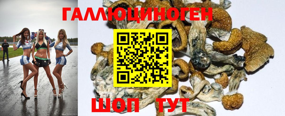 Псилоцибиновые грибы Psilocybe Костомукша